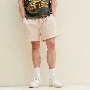 🥥Pacsun Textured Beige Shorts Size L NWT🥥